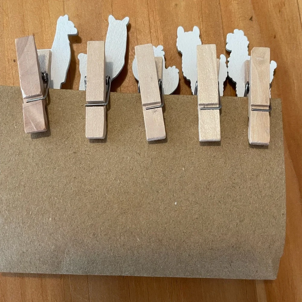 NWT 10 tiny wooden clips with llama, alpaca, cactus design and in gift box